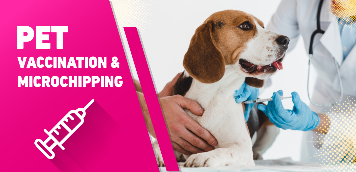 BEST PET MICROCHIPPING IN DUBAI Perfect dose veterinary clinic