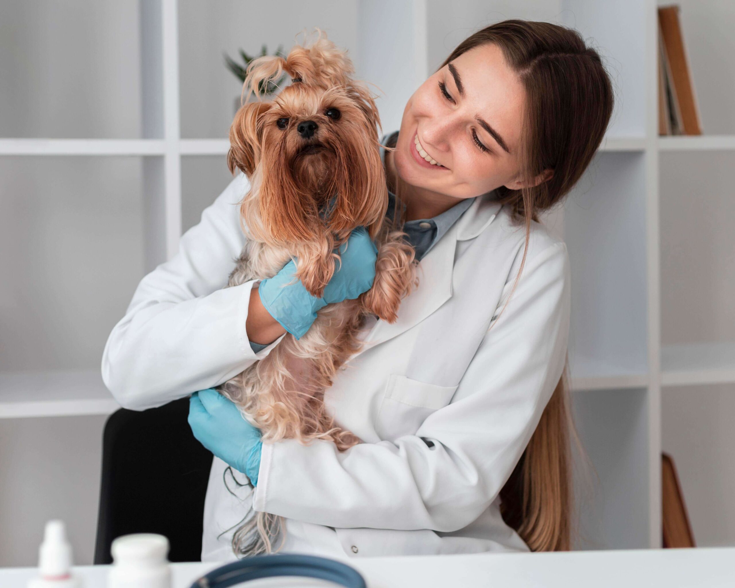 How to Choose the Right Veterinarian for Your Pet in Dubai