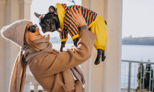 Things to Know Before Getting a Pet in Dubai