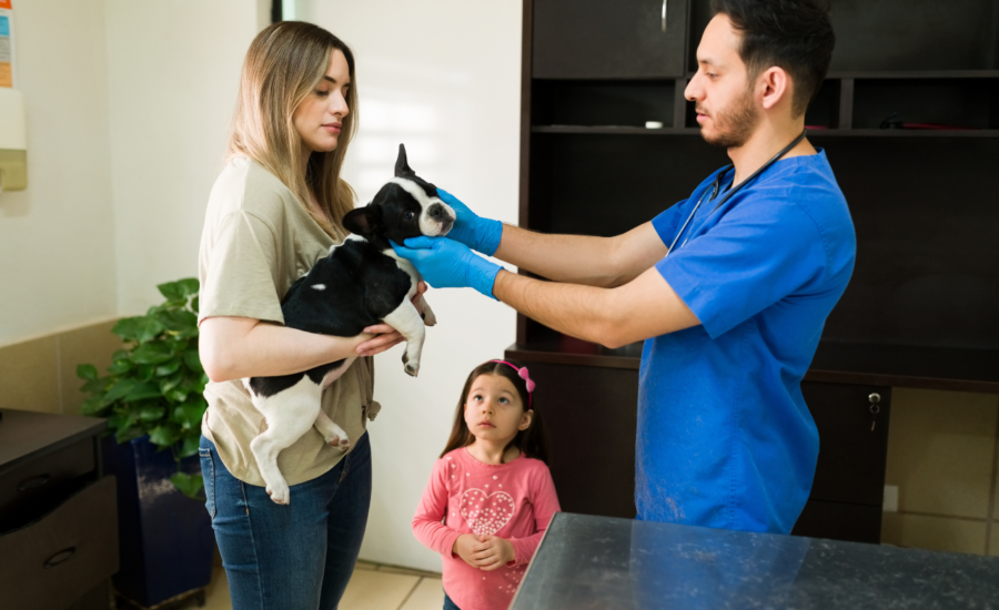 Signs Your Pet Is Sick or Injured