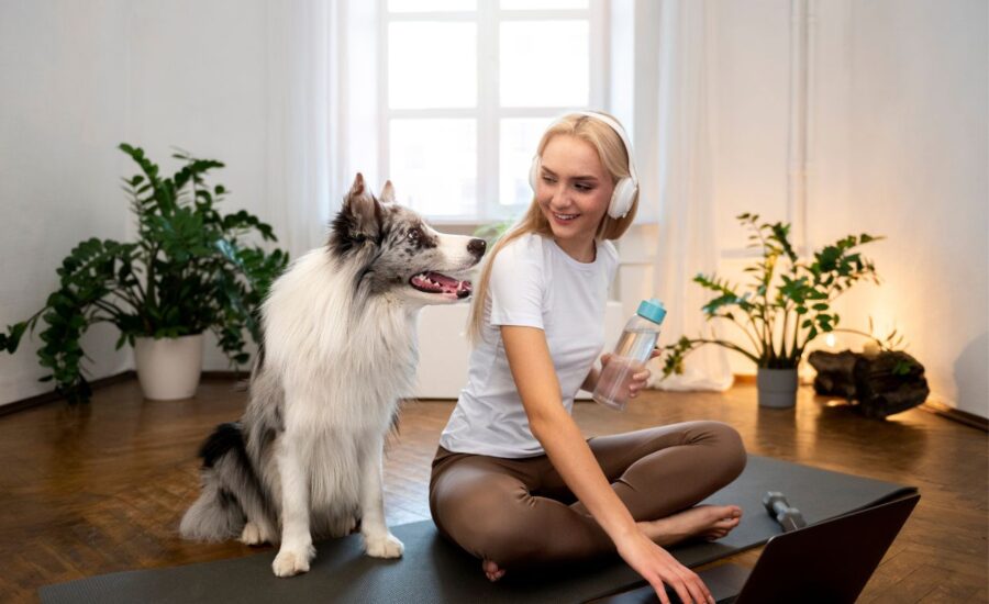 Pet Wellness Plans: Are They Really Worth It Today?