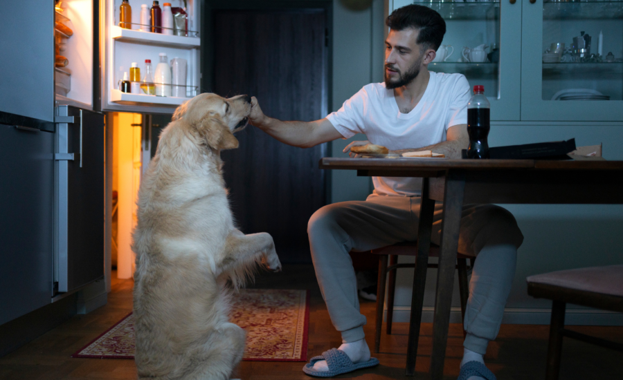 Causes, Risks, and Prevention of Obesity with Pets