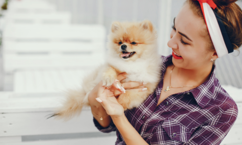 Advanced Veterinary Services: When Does Your Pet Need Surgery?