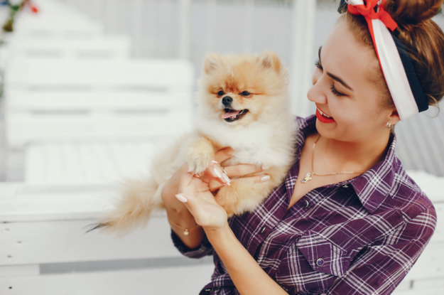 Advanced Veterinary Services: When Does Your Pet Need Surgery?