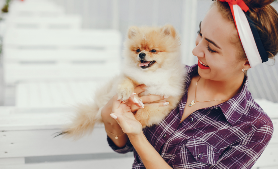 advanced veterinary services pet surgery